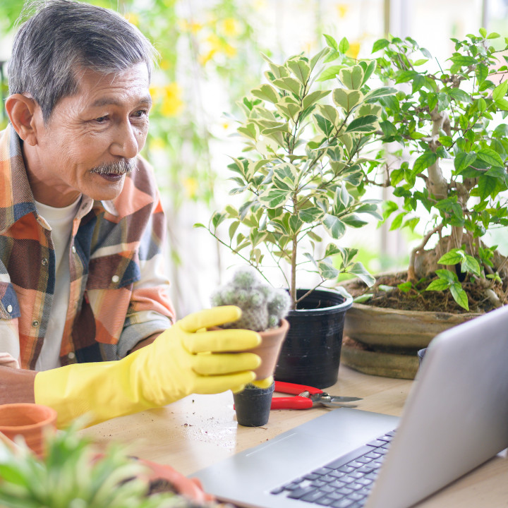 Empresario senior que trabaja con una computadora portátil presenta plantas de interior durante la transmisión en vivo en línea en casa, vendiendo el concepto en línea